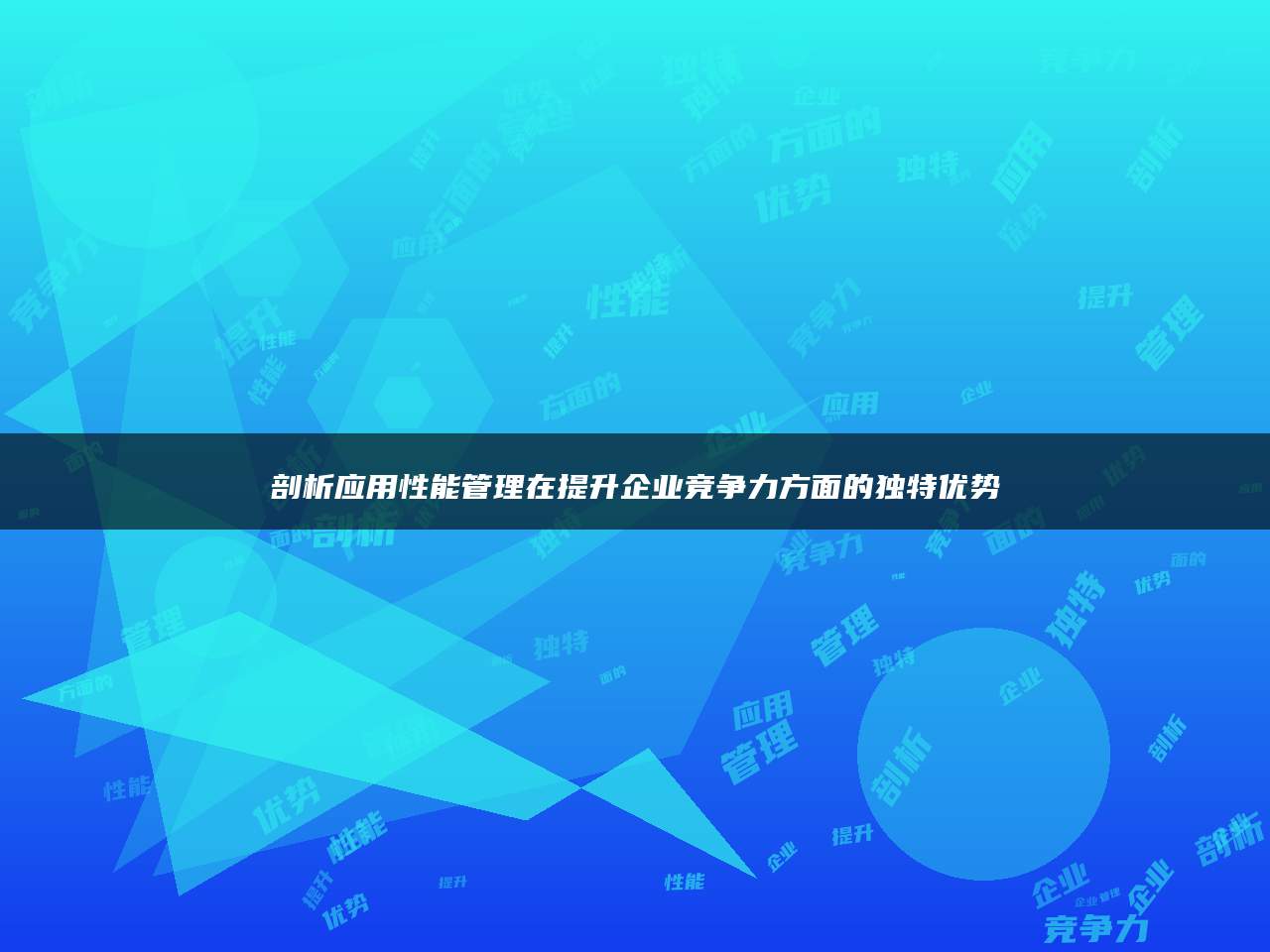 剖析应用性能管理在提升企业竞争力方面的独特优势