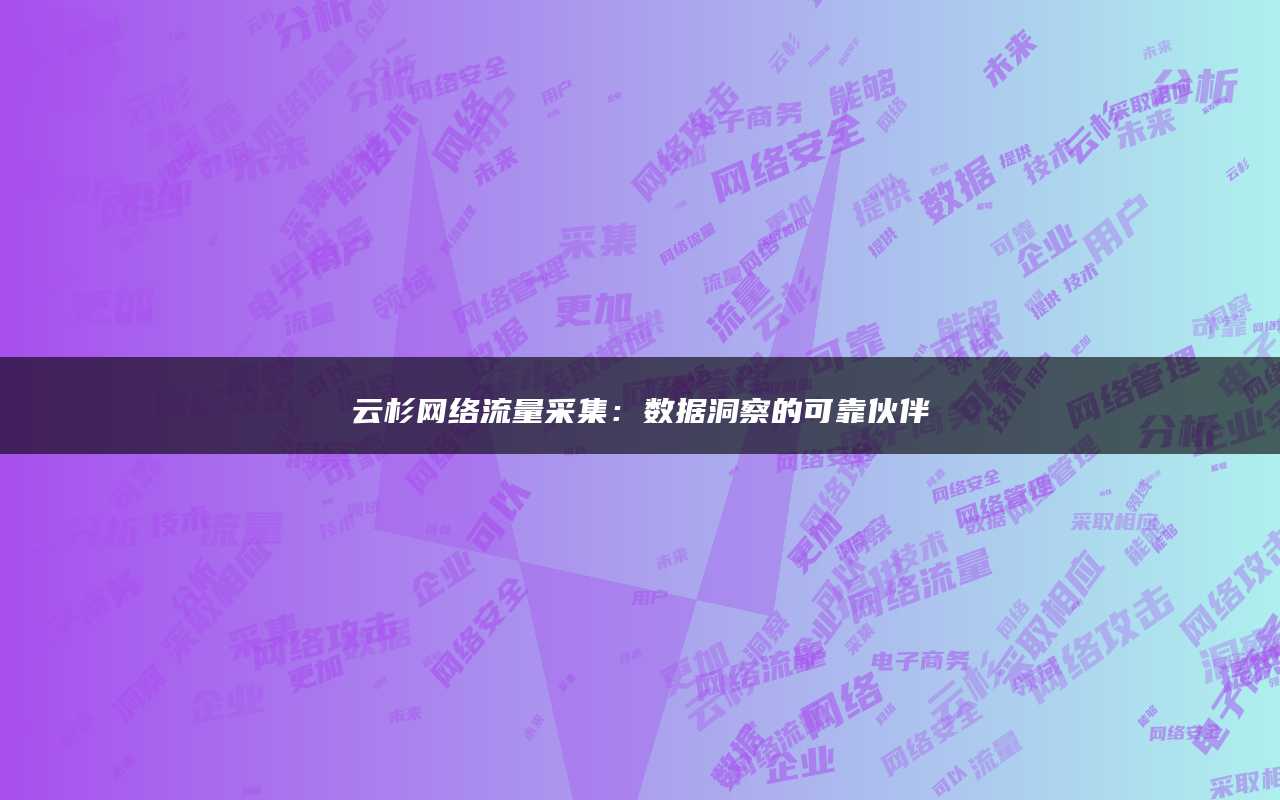云杉网络流量采集：数据洞察的可靠伙伴