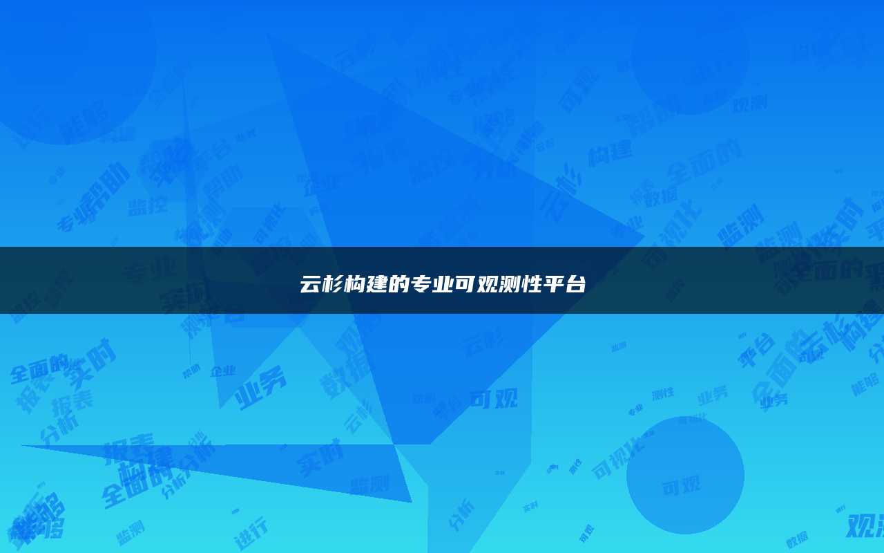 云杉构建的专业可观测性平台