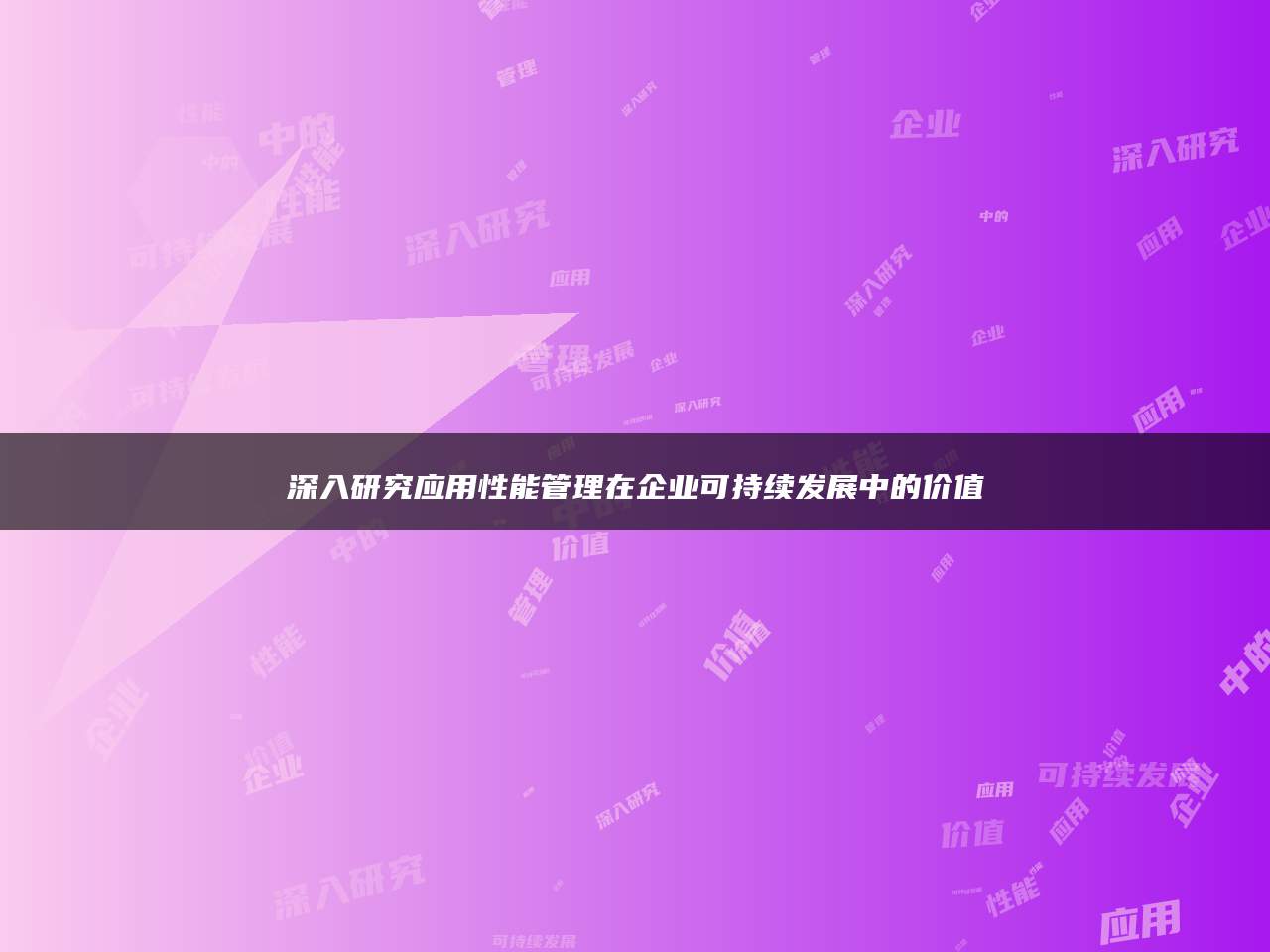 深入研究应用性能管理在企业可持续发展中的价值