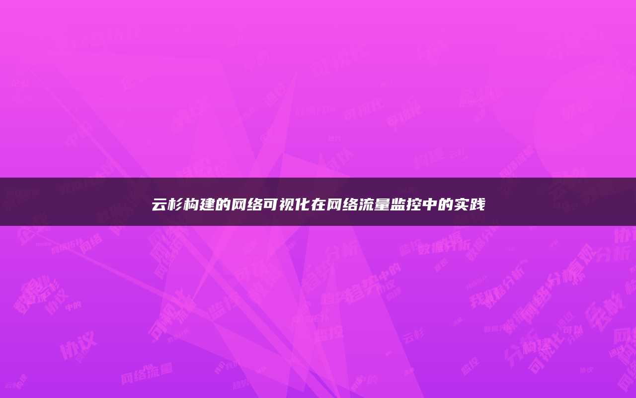 云杉构建的网络可视化在网络流量监控中的实践