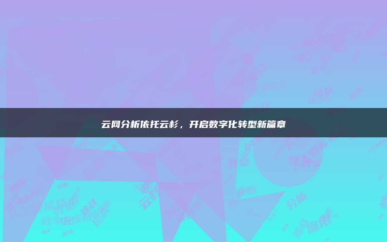 云网分析依托云杉，开启数字化转型新篇章