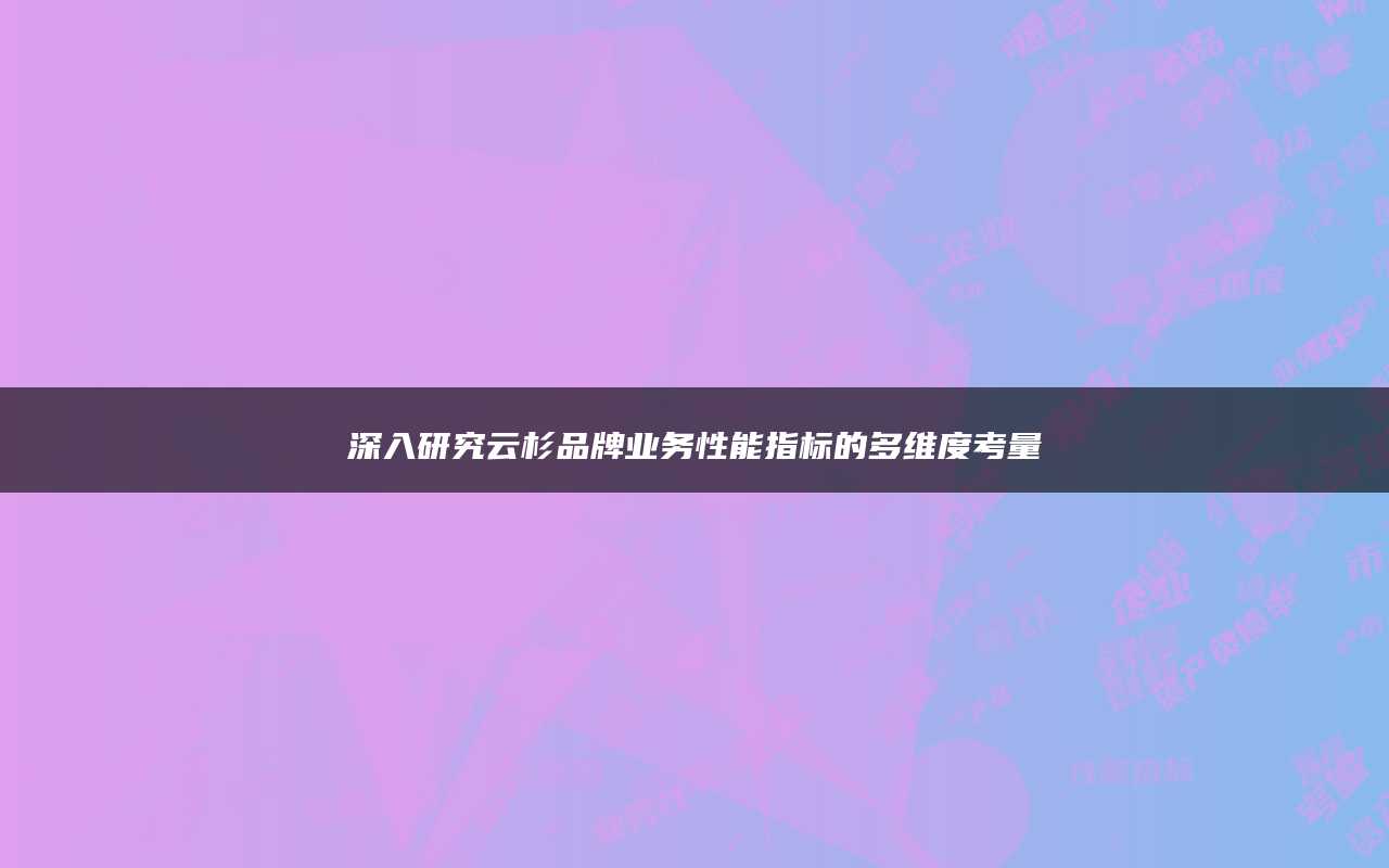 深入研究云杉品牌业务性能指标的多维度考量