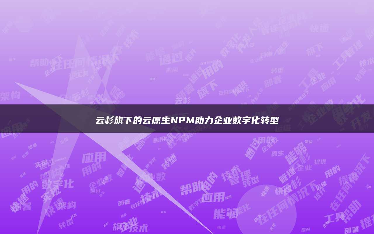 云杉旗下的云原生NPM助力企业数字化转型