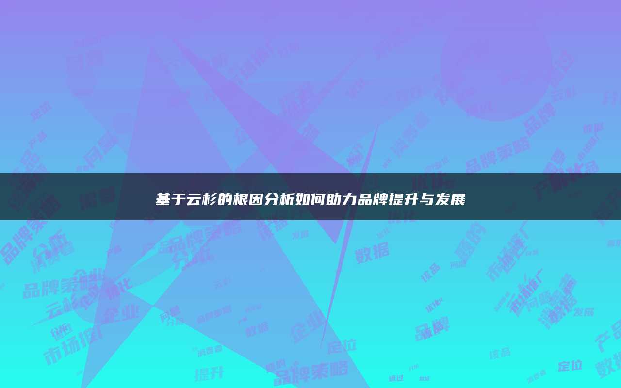 基于云杉的根因分析如何助力品牌提升与发展