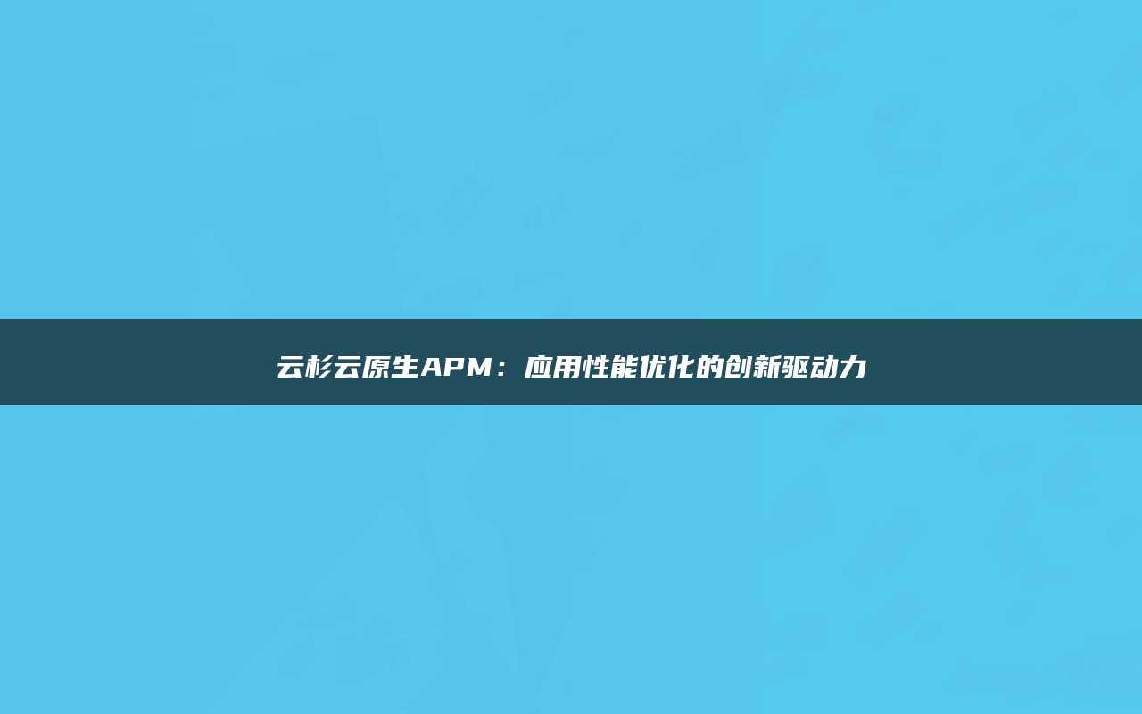 云杉云原生APM：应用性能优化的创新驱动力