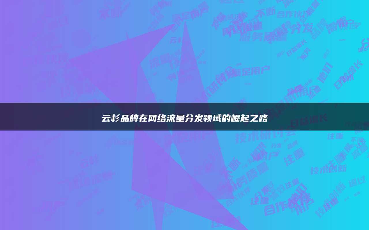 云杉品牌在网络流量分发领域的崛起之路