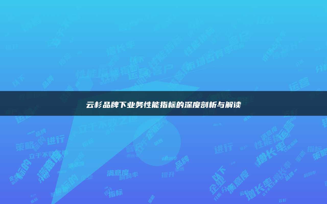 云杉品牌下业务性能指标的深度剖析与解读