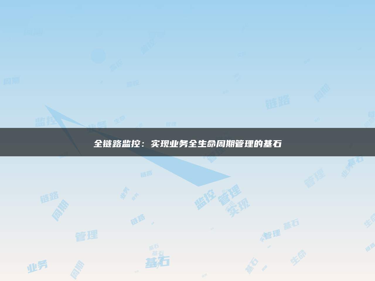 全链路监控：实现业务全生命周期管理的基石