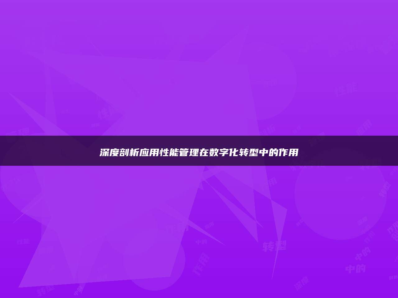 深度剖析应用性能管理在数字化转型中的作用