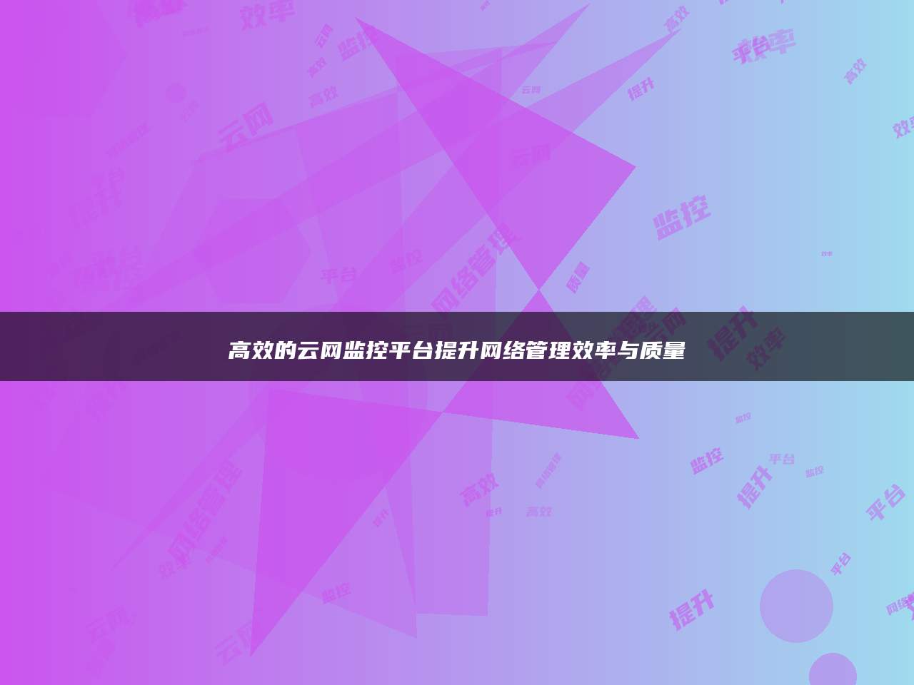 高效的云网监控平台提升网络管理效率与质量
