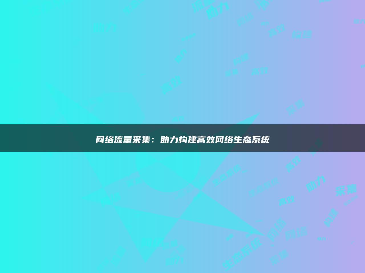 网络流量采集：助力构建高效网络生态系统