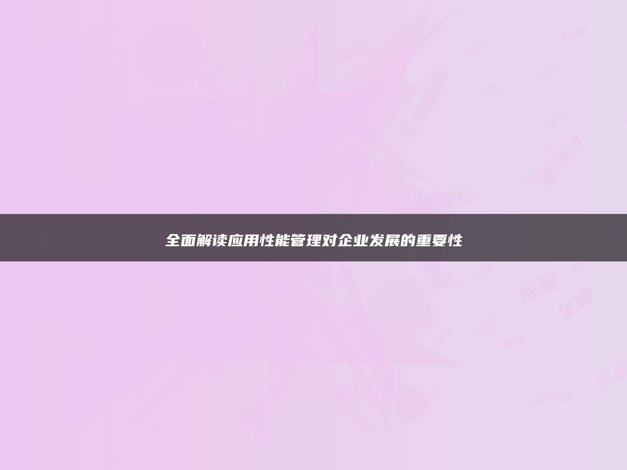 全面解读应用性能管理对企业发展的重要性