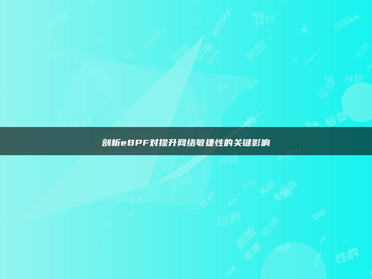 剖析eBPF对提升网络敏捷性的关键影响