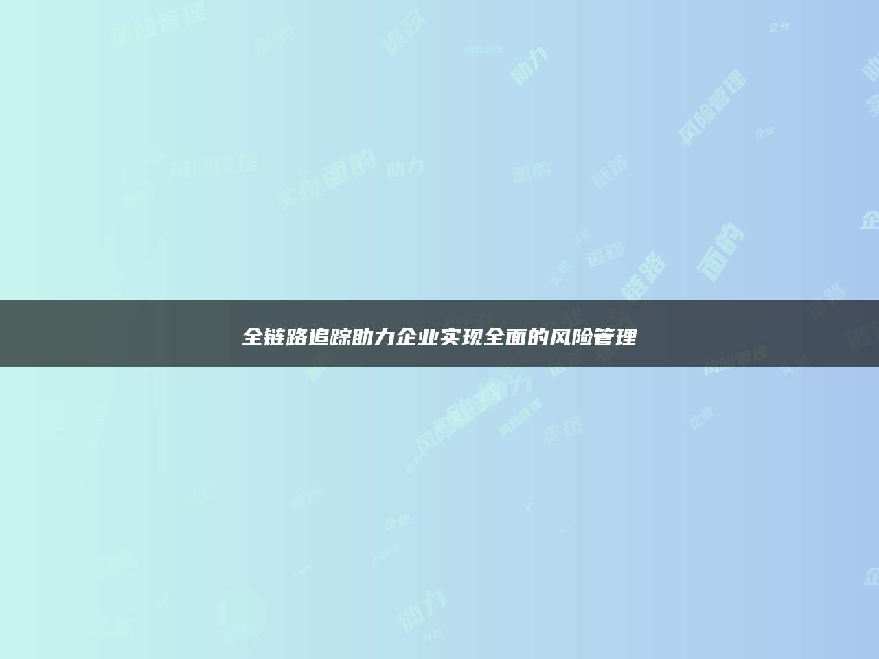 全链路追踪助力企业实现全面的风险管理