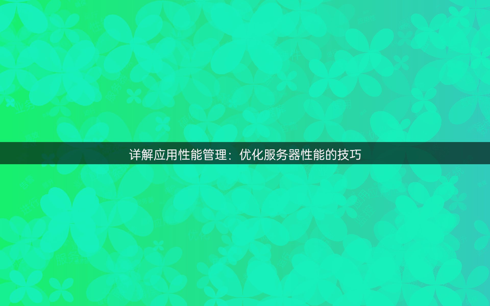 详解应用性能管理：优化服务器性能的技巧