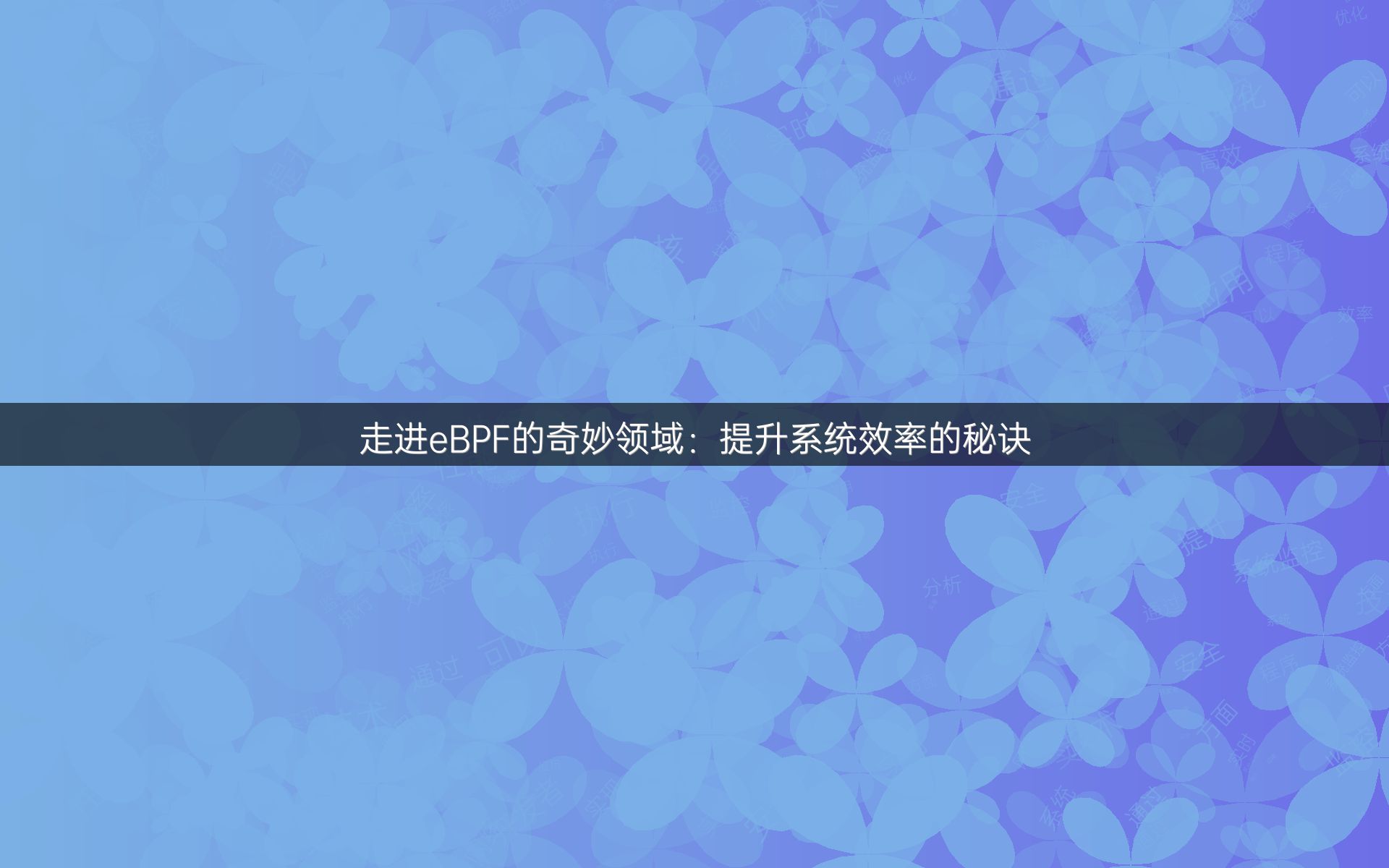 走进eBPF的奇妙领域：提升系统效率的秘诀