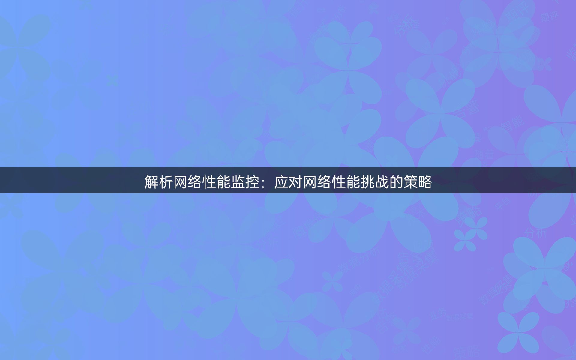 解析网络性能监控：应对网络性能挑战的策略
