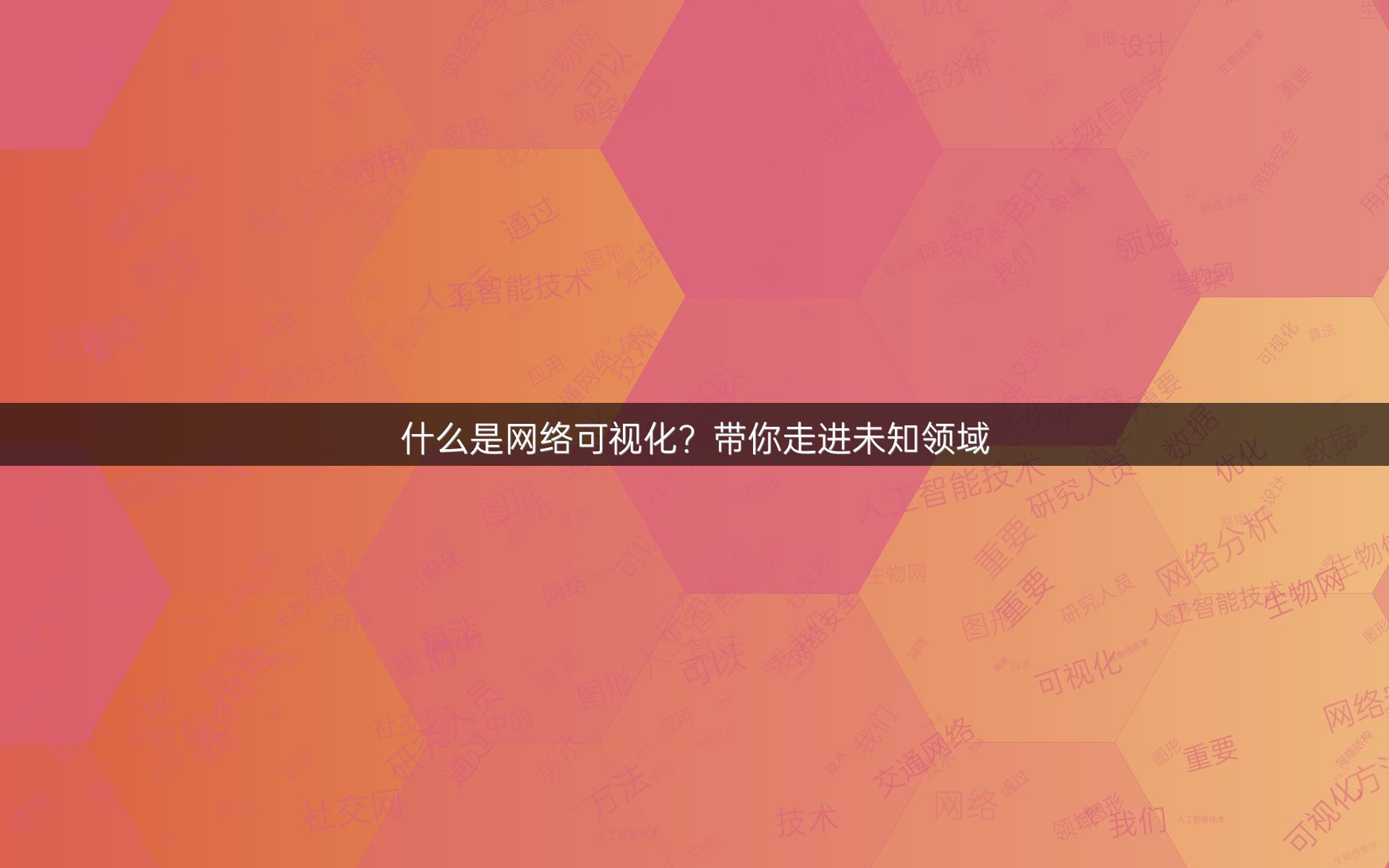 什么是网络可视化？带你走进未知领域