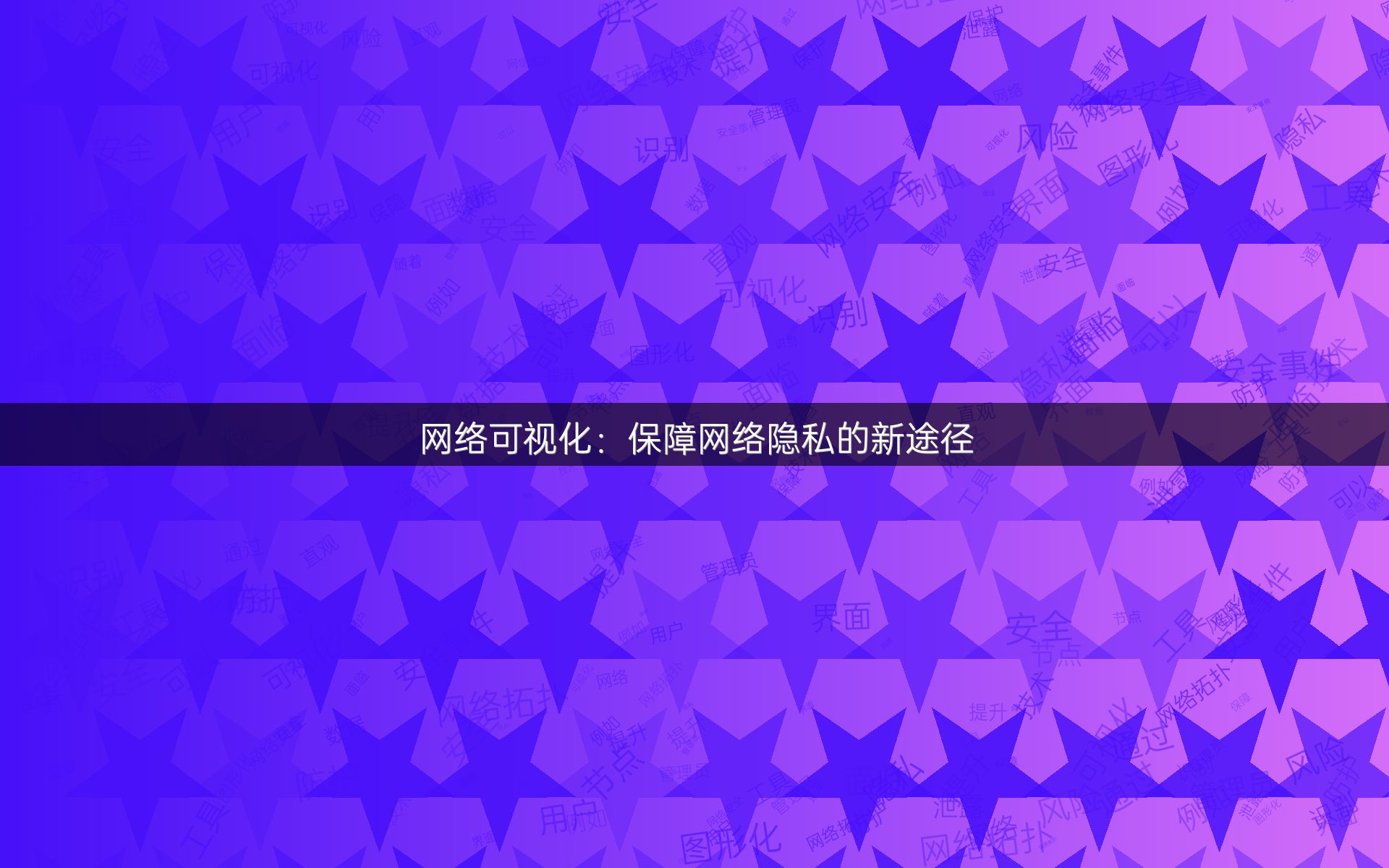 网络可视化：保障网络隐私的新途径