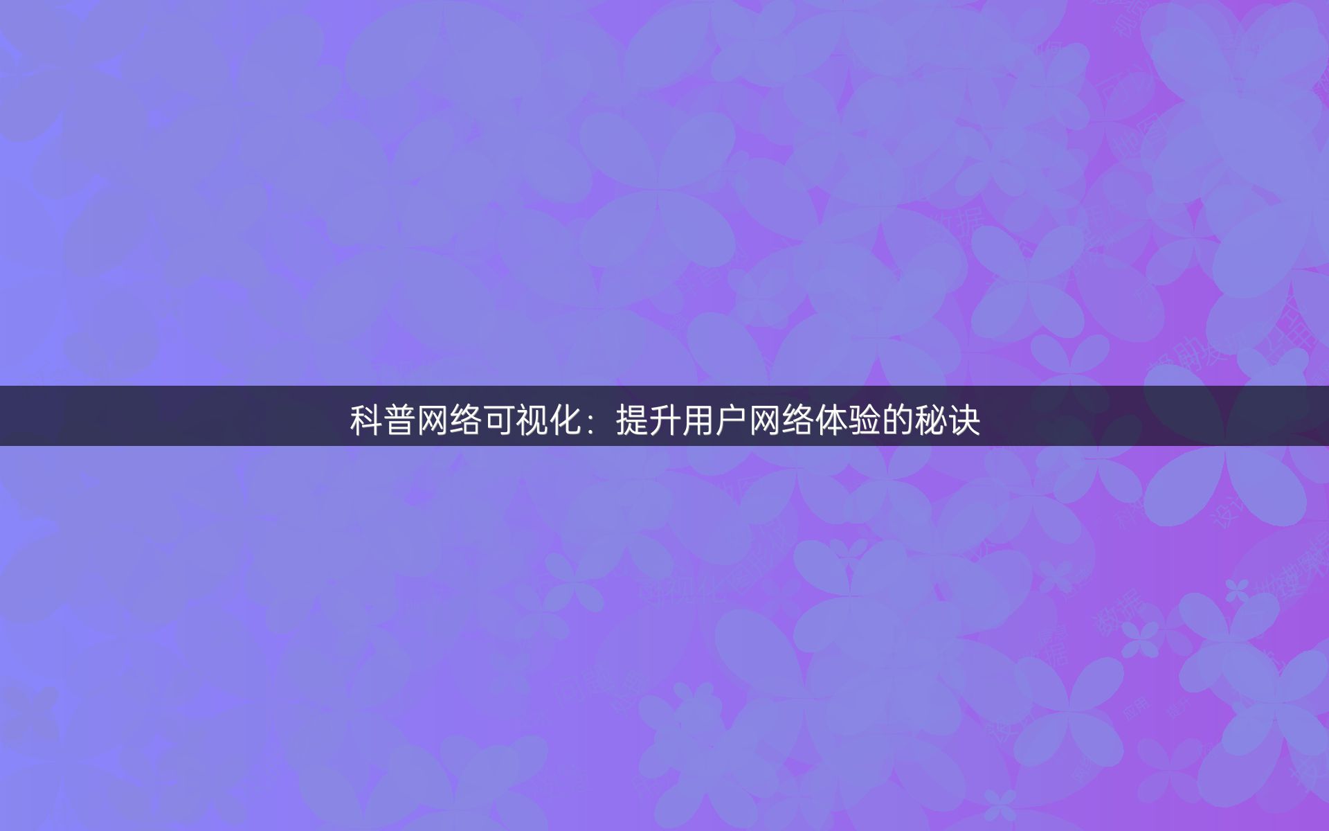 科普网络可视化：提升用户网络体验的秘诀