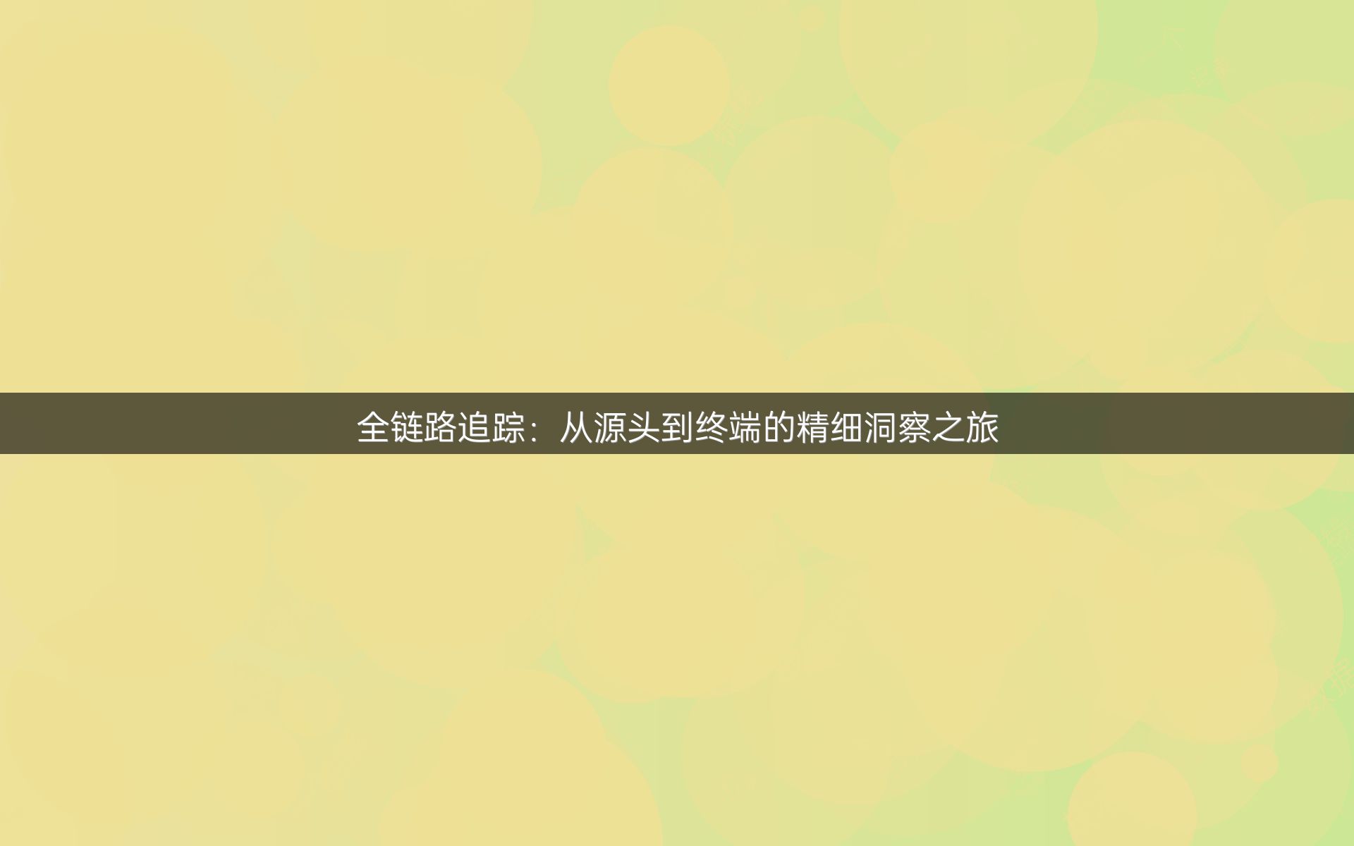 全链路追踪：从源头到终端的精细洞察之旅