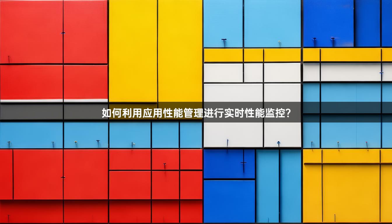 如何利用应用性能管理进行实时性能监控？